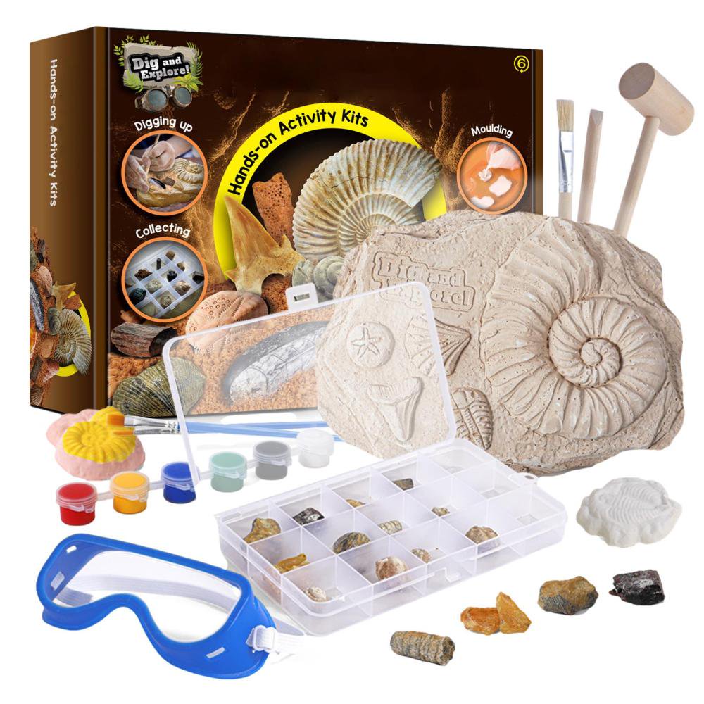 [D7271] Descubra 12 fósiles reales con el mega kit de excavación de fósiles: ¡creatividad y educación combinadas!