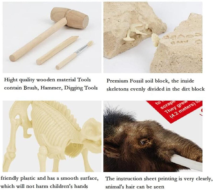 Kit de excavación de mamut lanudo Dig &amp; Discover: descubra secretos prehistóricos con herramientas paleontológicas de primera calidad